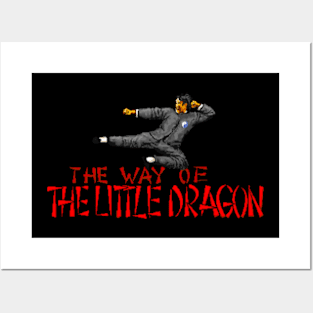 Way of the Little Dragon Posters and Art